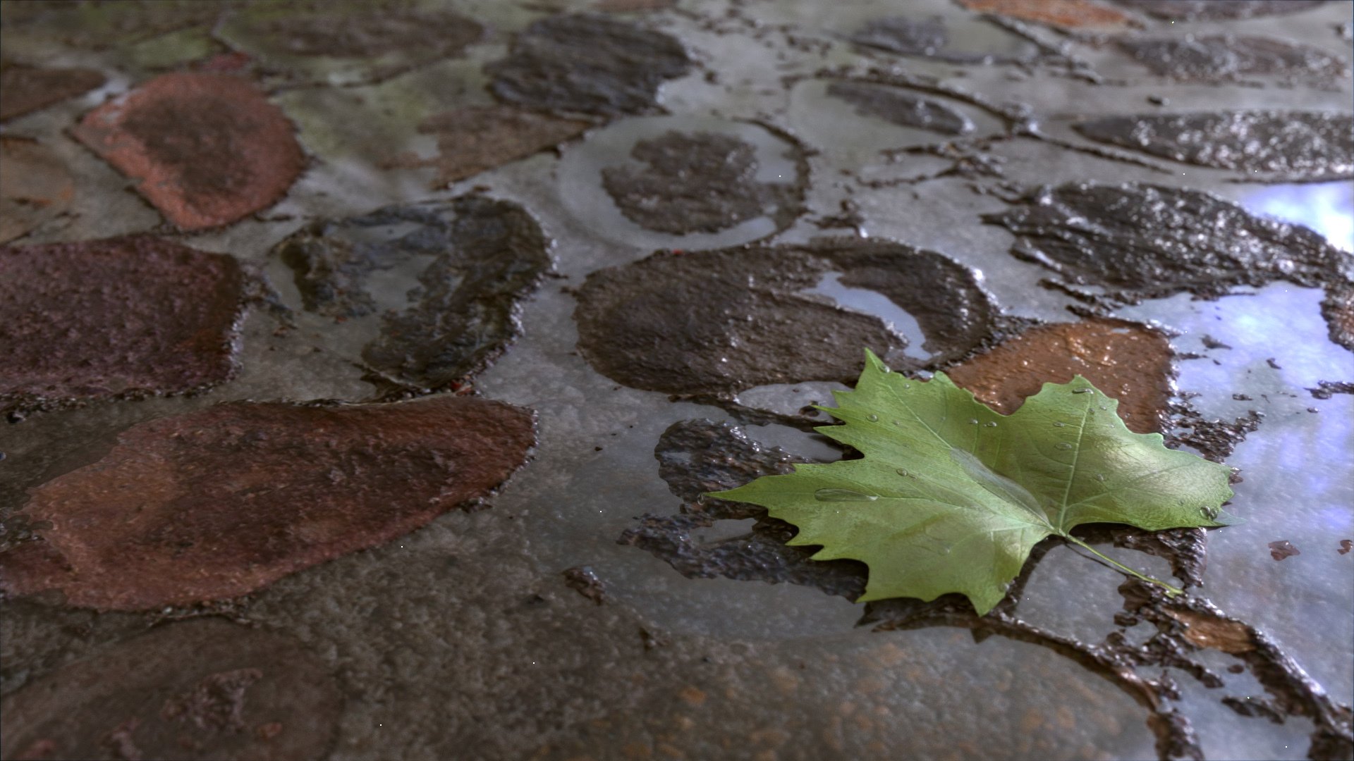 arte charcos hoja verde agua lluvia tierra