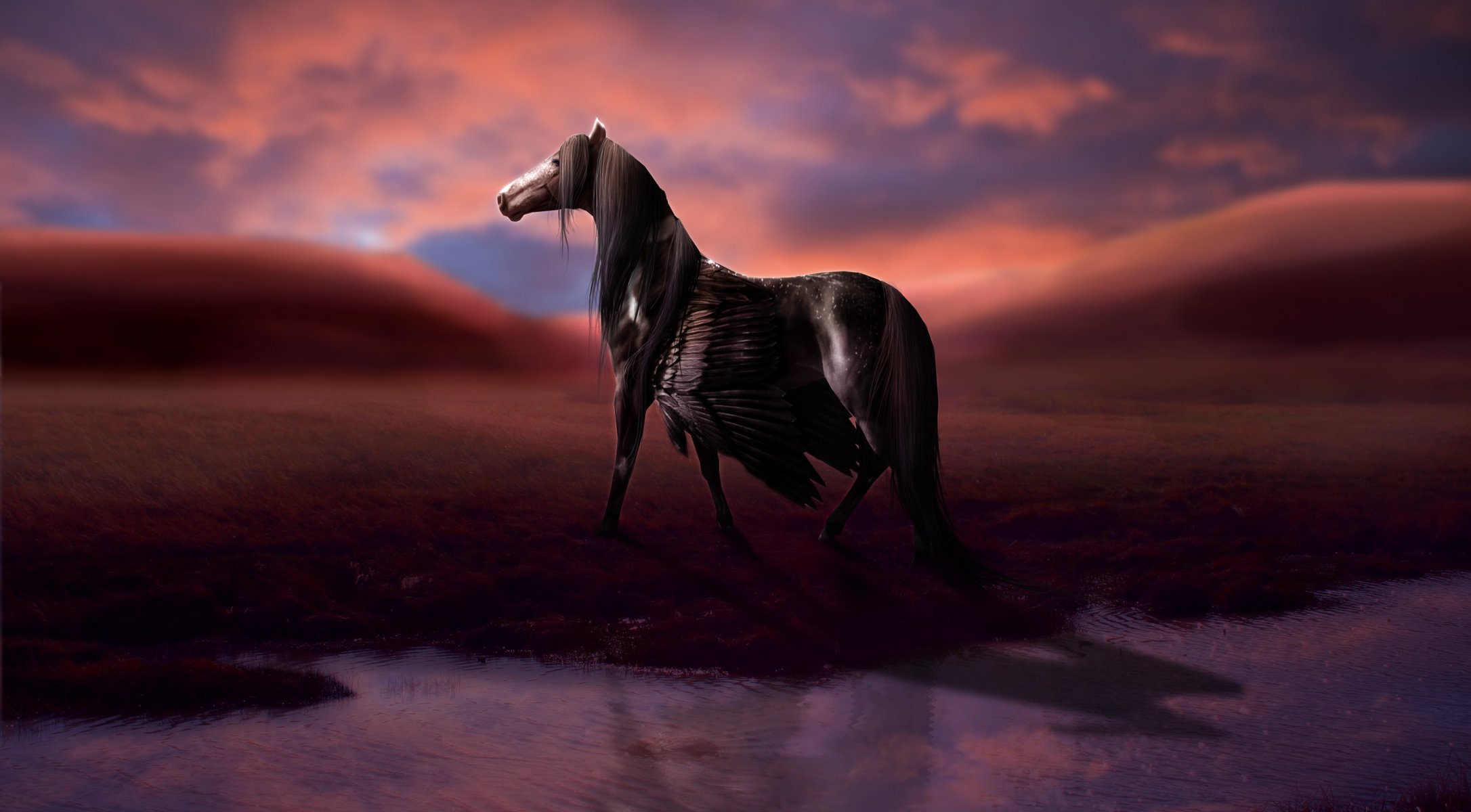 rendering cavallo ali pegaso acqua riflessione cielo nuvole