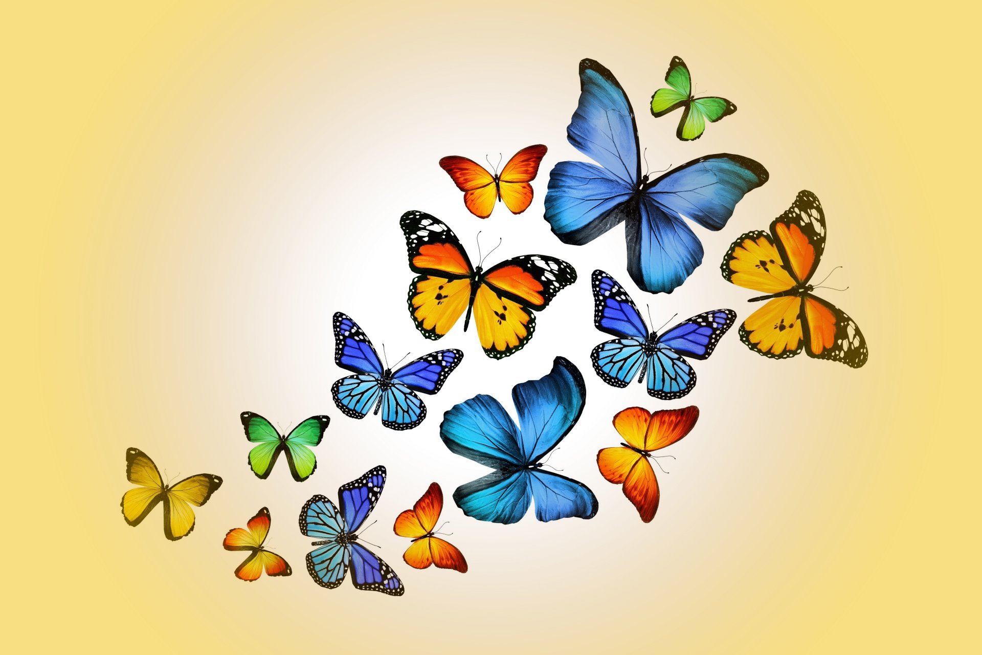 butterflies design by marika colorful yellow butterfly