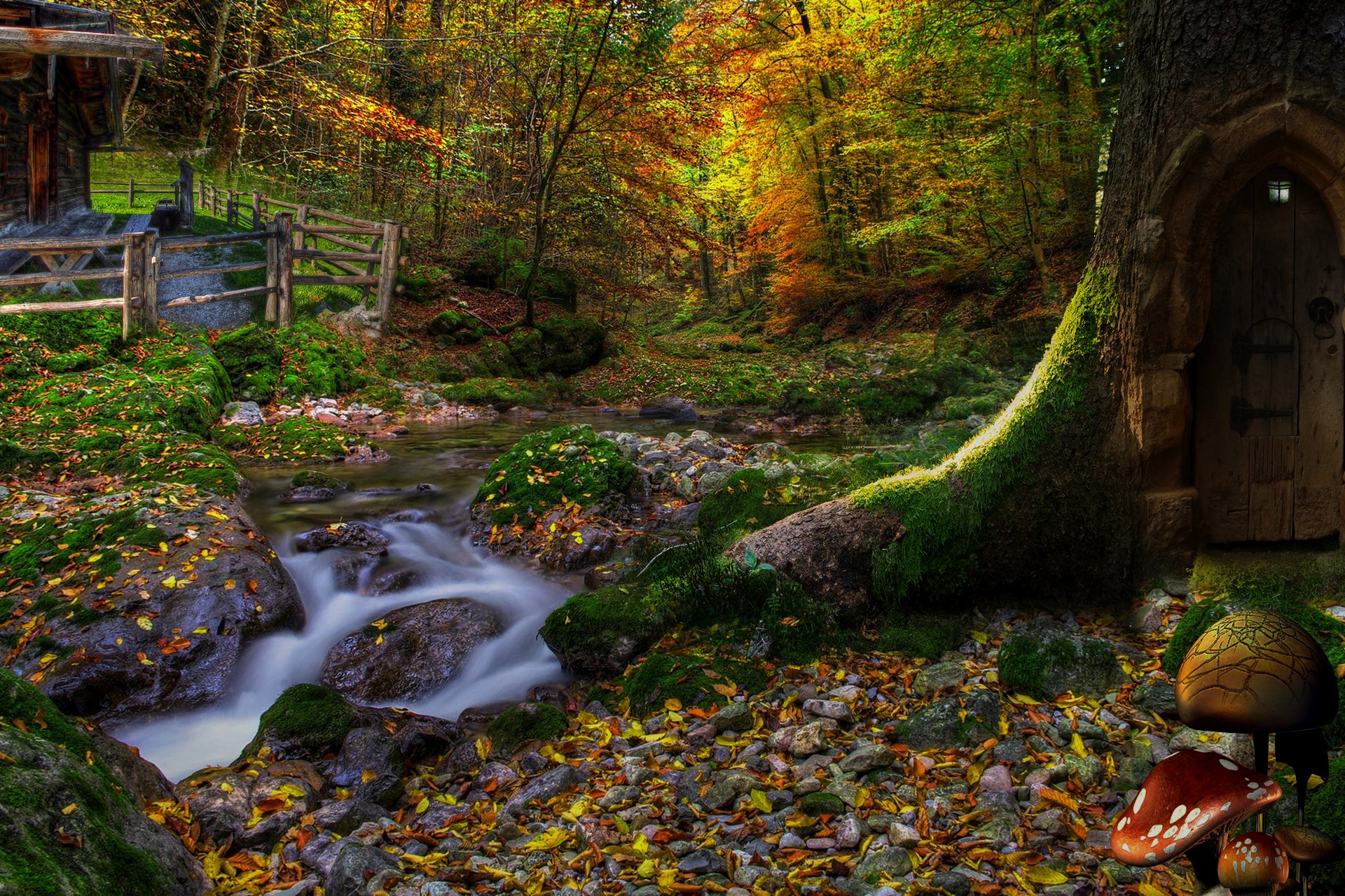 foresta alberi pendio casa foglie funghi porta lanterna