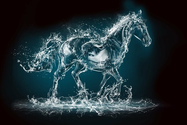 Silhouette of a horse made of water drops