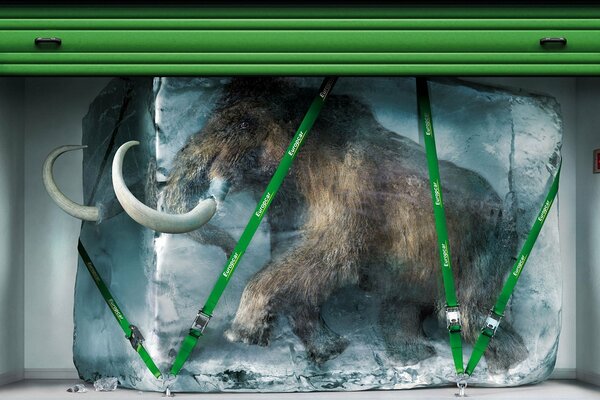 A block of ice mammoth cold