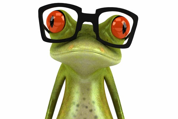 Grenouille avec des yeux orange et des lunettes