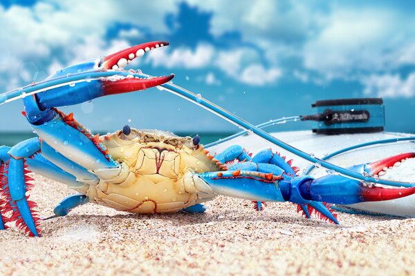 The blue crab tries to bite the wire with its claws