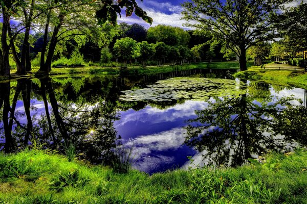 Das Wasser im Teich scheint ein wenig lila zu sein