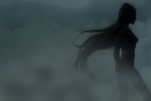 Silhouette d une jeune fille aux cheveux longs couvert de brouillard