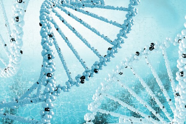 Image of the DNA formula helix