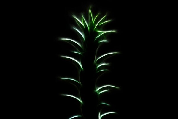 Neon pineapple. Light branch