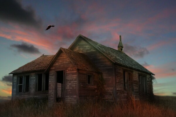 An abandoned house of which only ruins remain