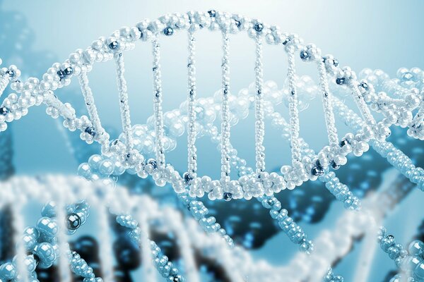 DNA-Modell im D-Format