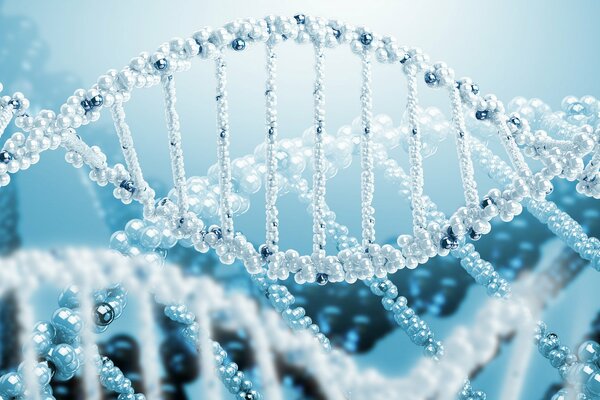 Модель ДНК в Зd формате