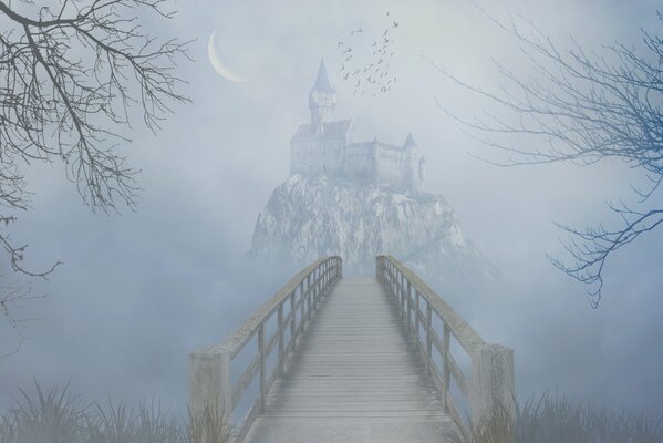Brücke führt zum Schloss im Nebel