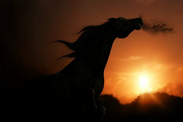 A horse running freely at sunset