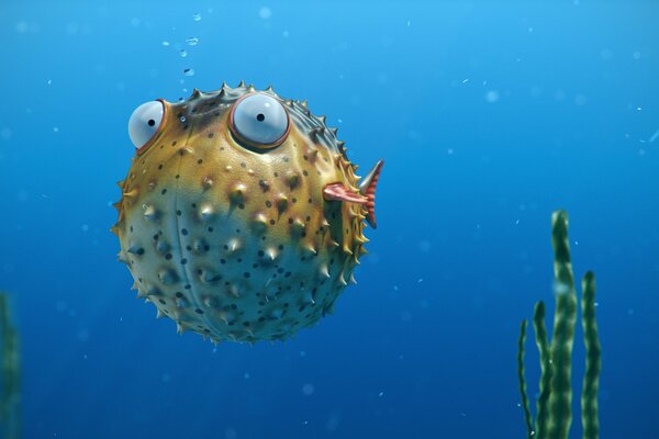 Fish ball in the sea with bulging eyes