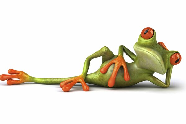 Frog with orange paws and eyes lie down