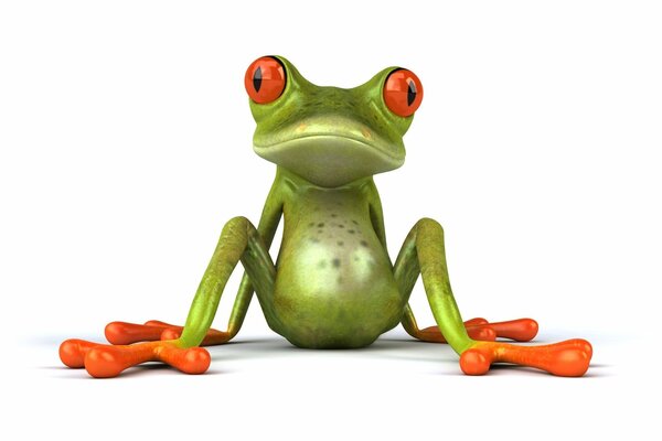 A frog with orange paws is sitting on the floor