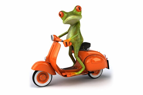 Zeichnung Grafik Frosch auf einem Moped