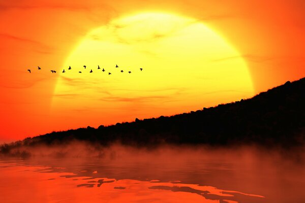 Le coucher de soleil avec la silhouette de la forêt, de la rivière et des oiseaux