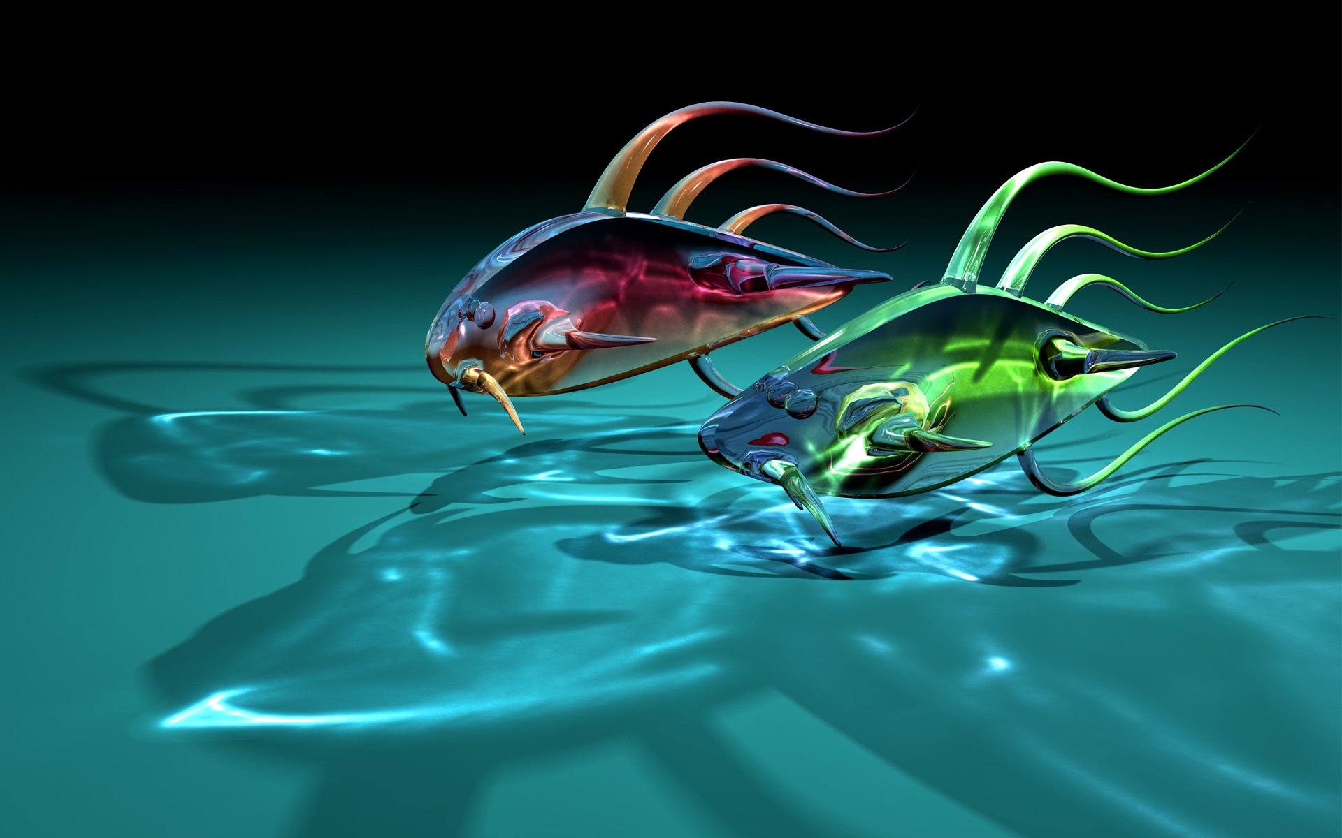 art fish fish two glass transparent shadow