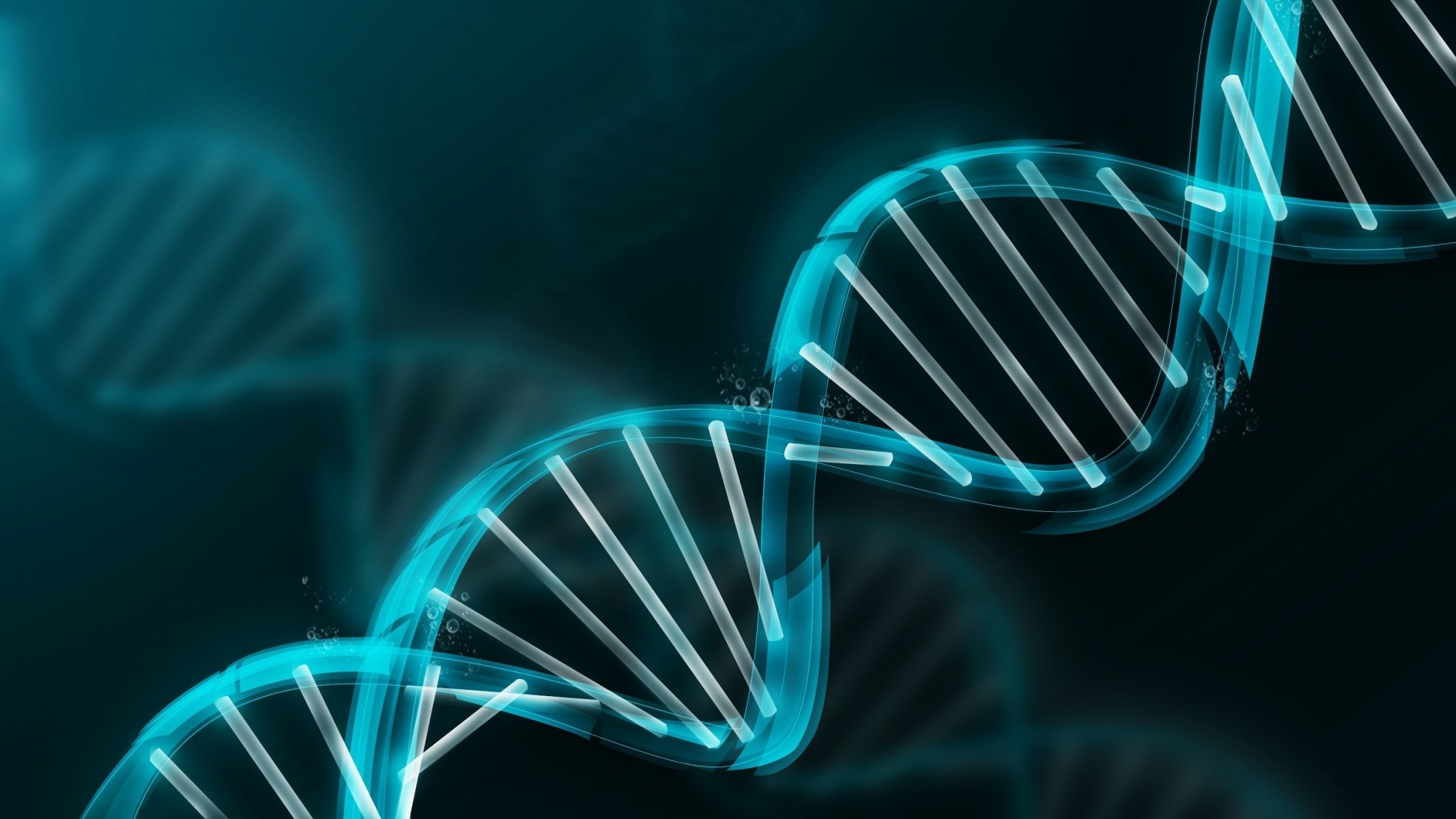 dna molekül modell blau