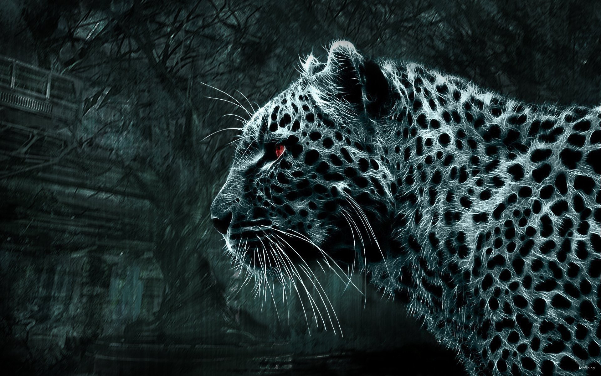 images 3d wild cat leopard watches red eyes black white picture