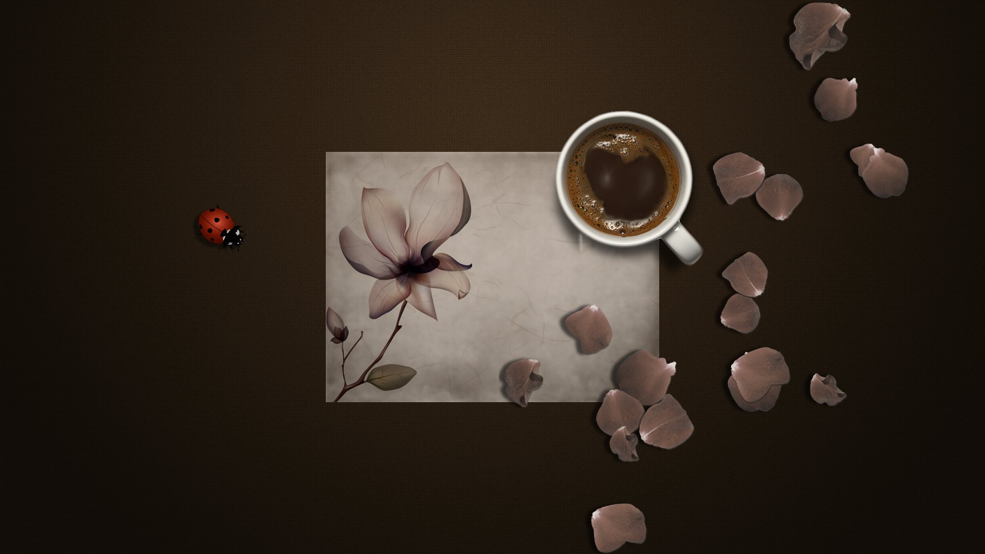 fondo café taza mariquita insecto papel flor pétalos