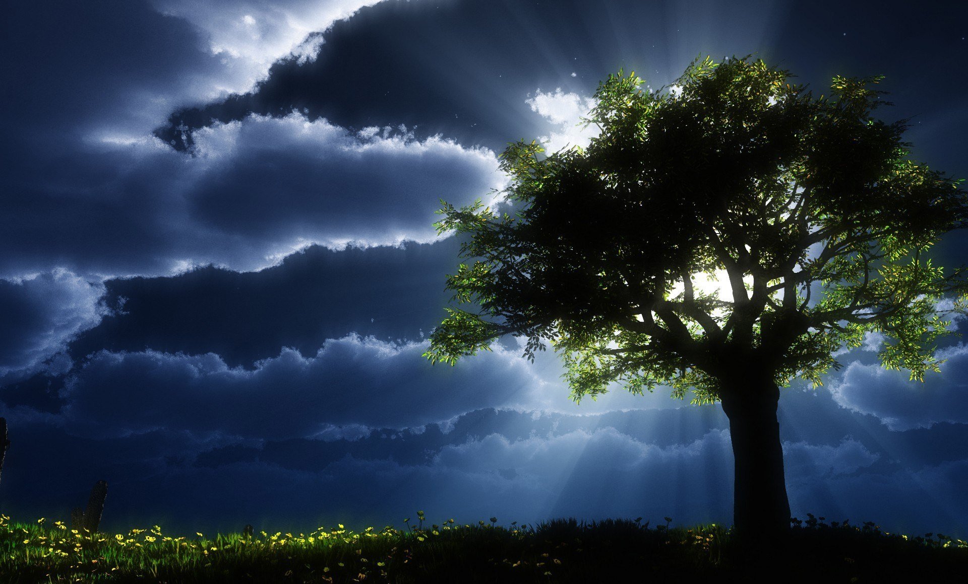 art tree grass clouds sun crown foliage sun rays dark