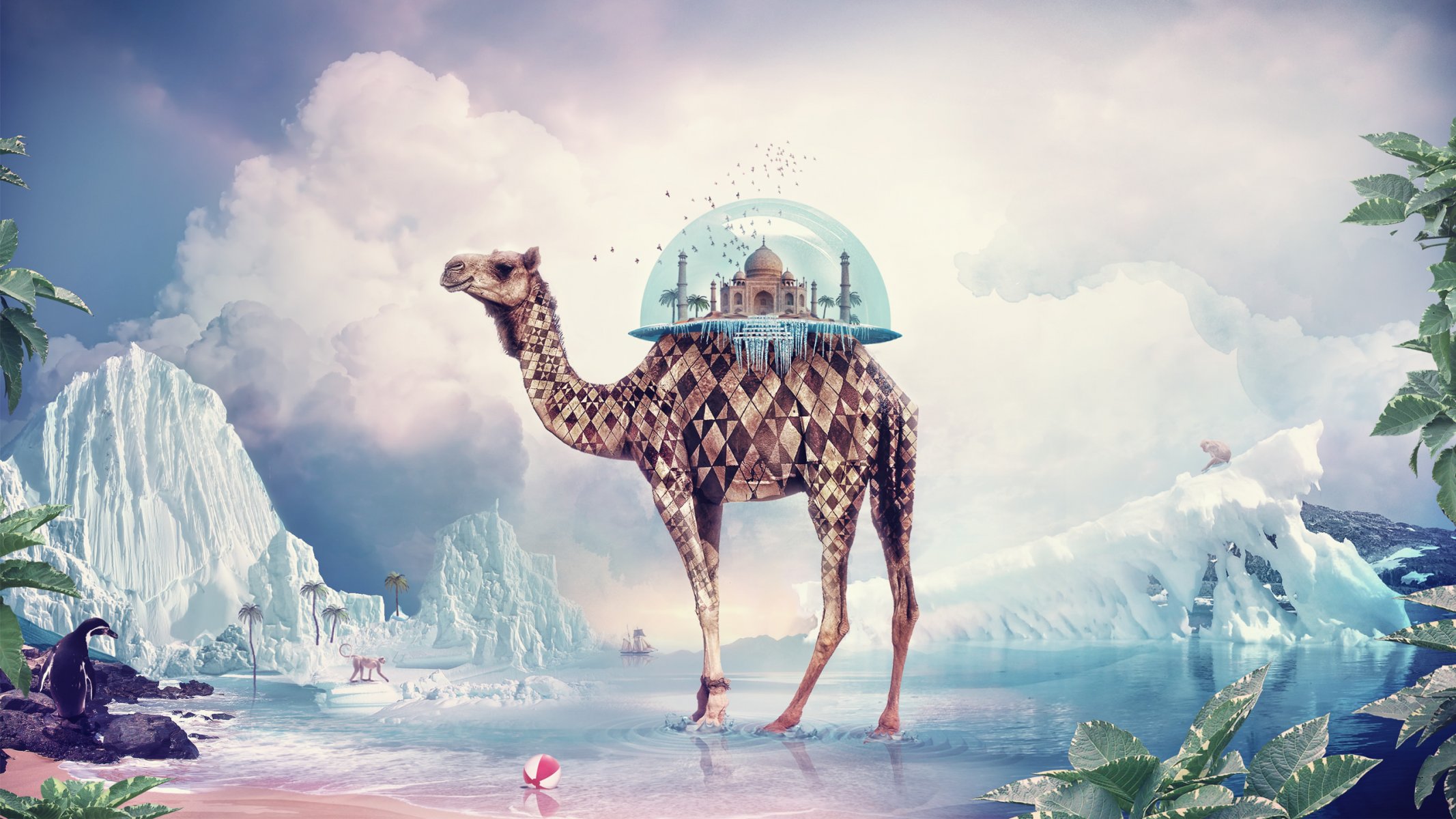 camel diamonds taj mahal dome glass birds flying penguin iceberg water ice monkeys palm trees plants shore sand beach ball horizon ship sky clouds cloud