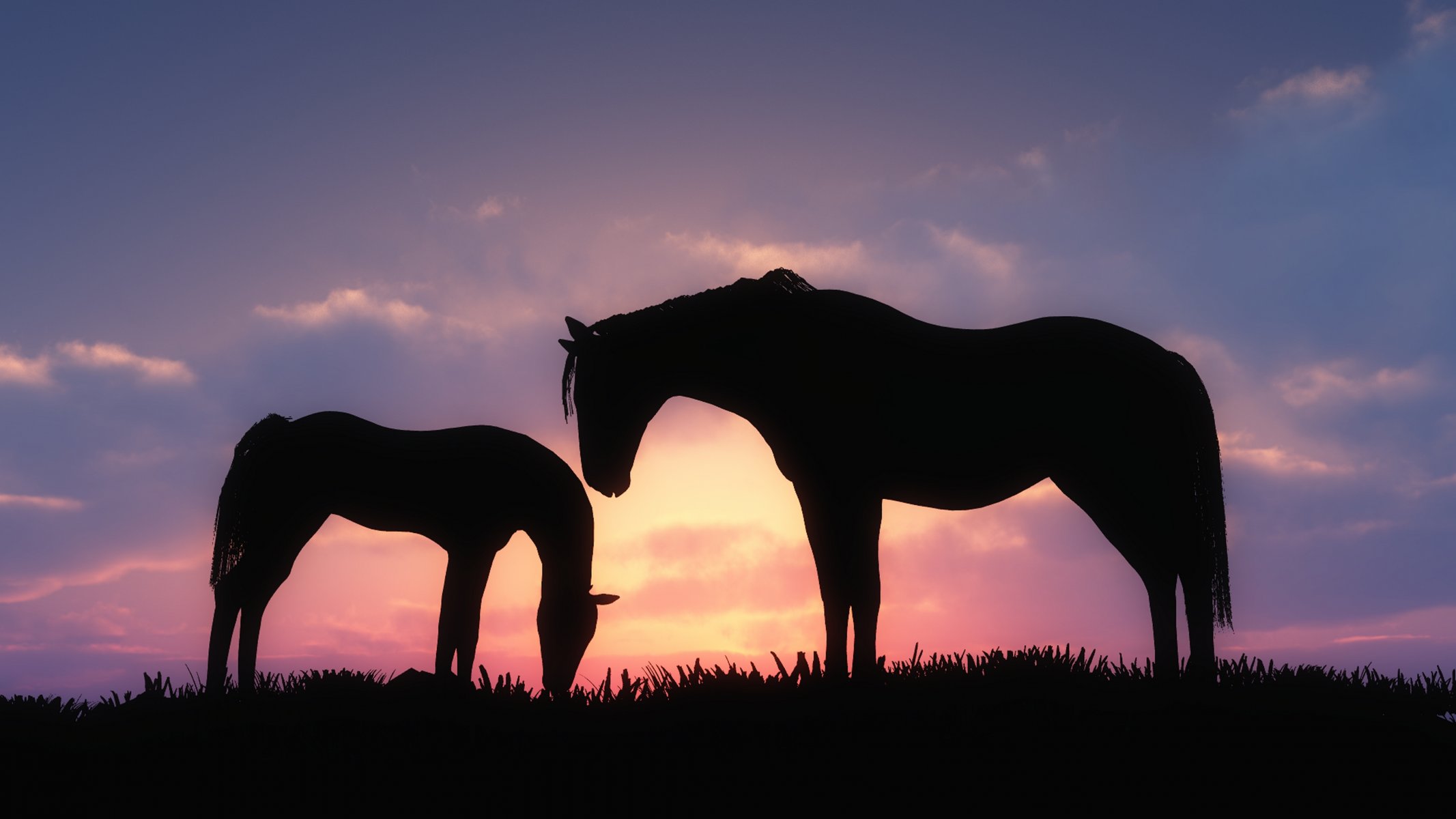 art horses sunset silhouettes grass cloud