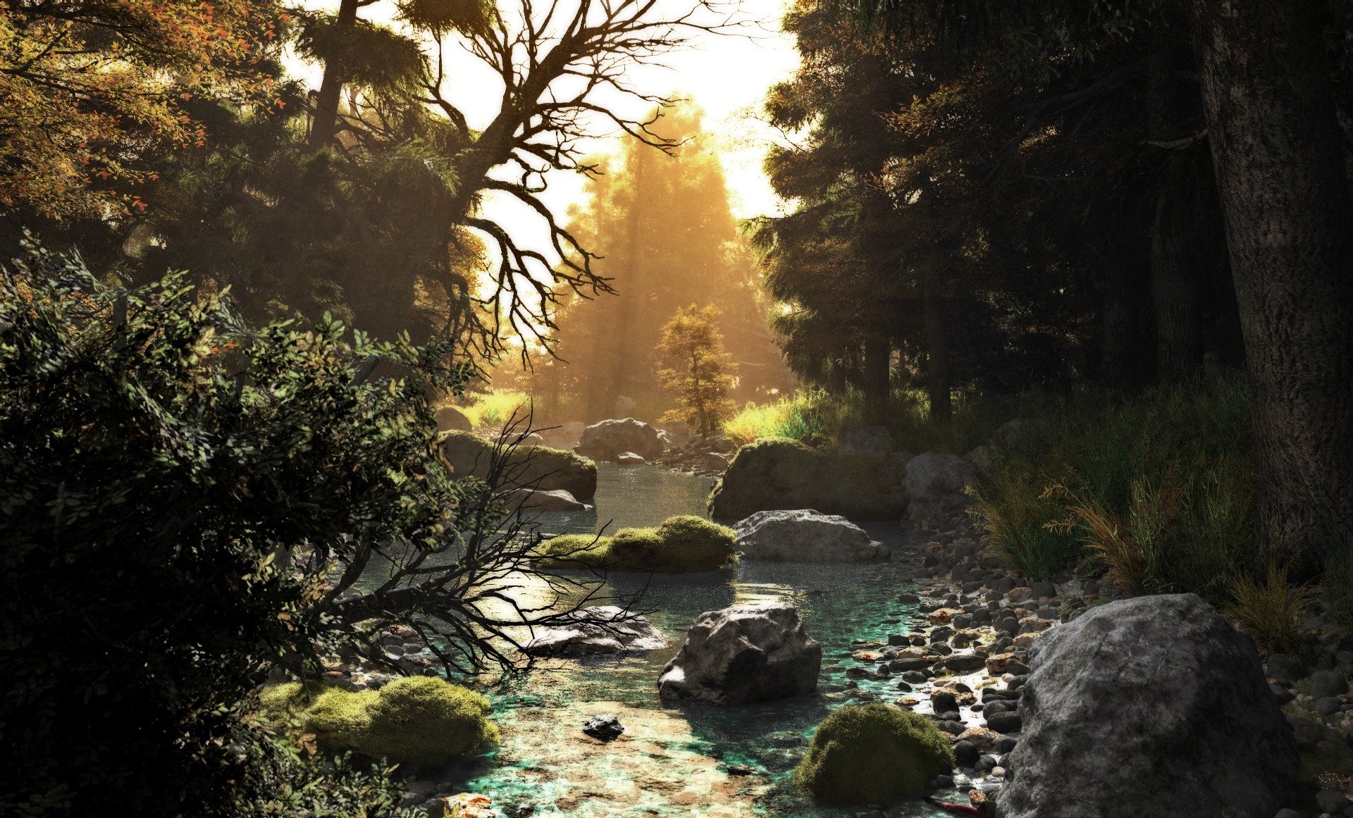 art nature forest trees stream river river stones sunset