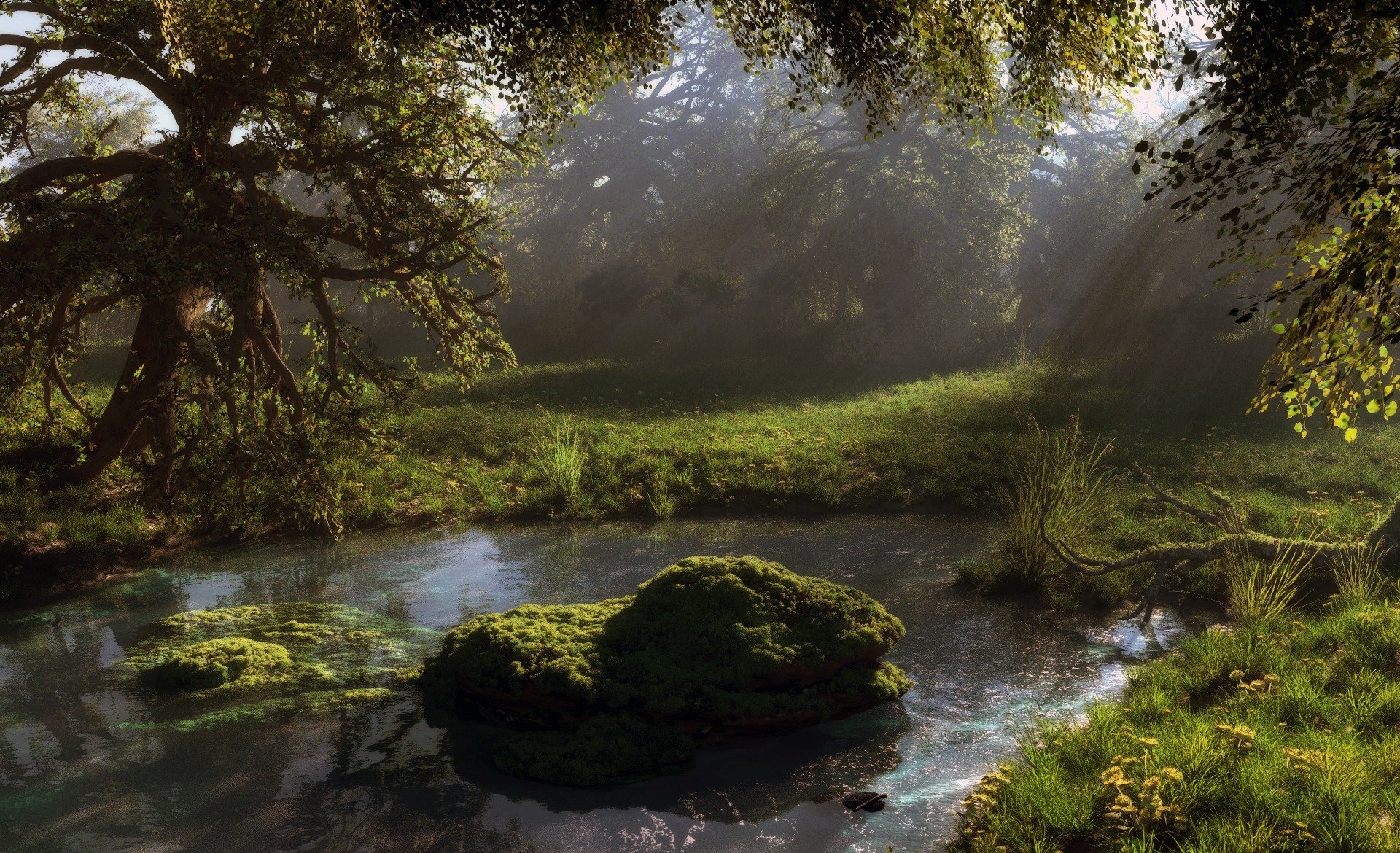 arte klontak naturaleza piedras bosque musgo estanque agua cuerpo de agua follaje