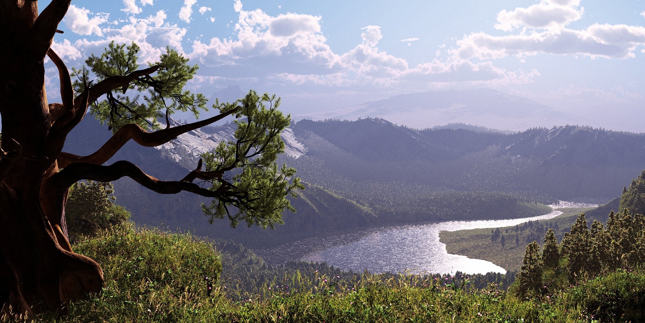 cielo montagne fiume erba albero