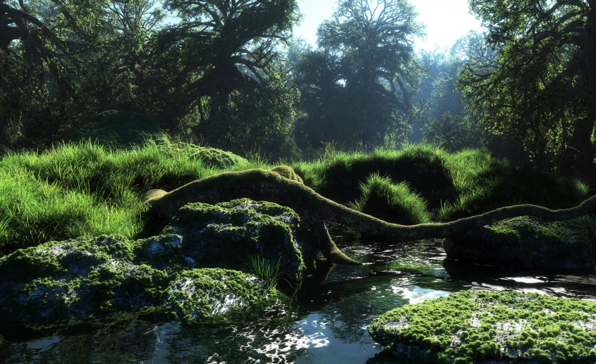 arte klontak natura foresta fiume fiume tronco acqua soleggiato muschio