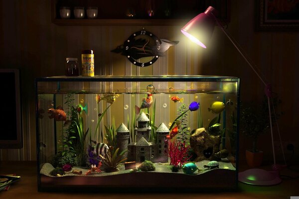 Aquarium with fish on the table on the background of a lamp
