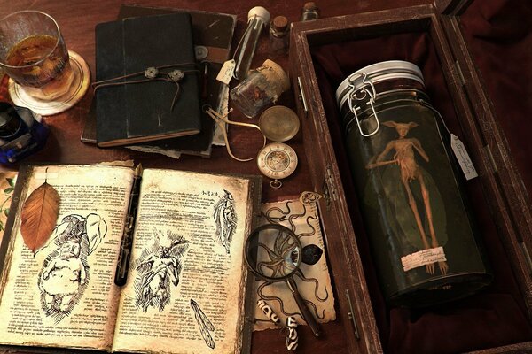 There is a book and a jar with an animal on the table