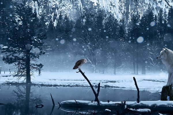 A white wolf and an owl in a snowy forest