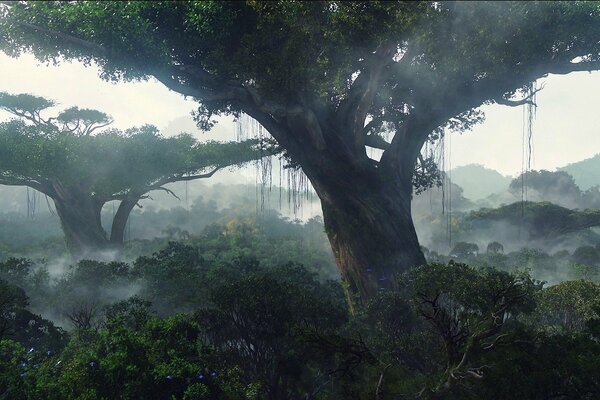 Árboles viejos de la selva abandonada