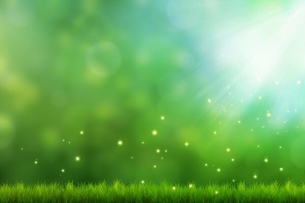 L herbe verte sous la lumière avec des étincelles