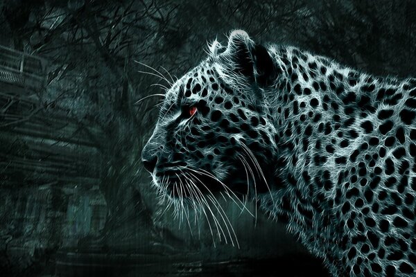 Black and white picture of a leopard