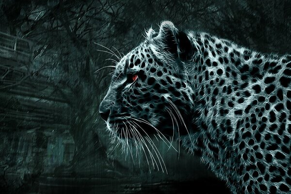 Immagine in bianco e nero del leopardo