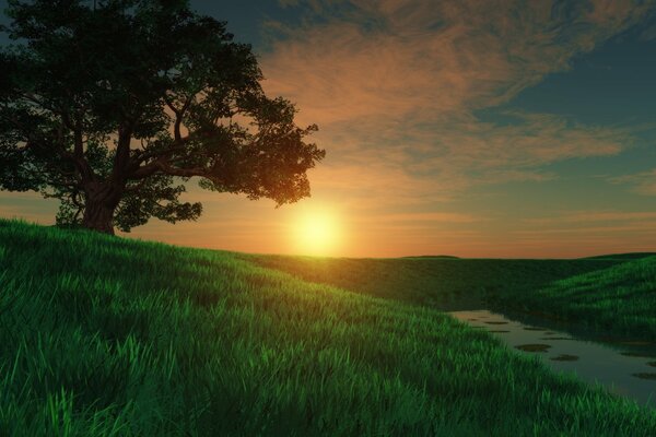 A tree in a meadow at sunset