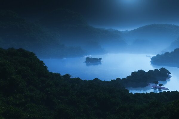 Night lake in the fog