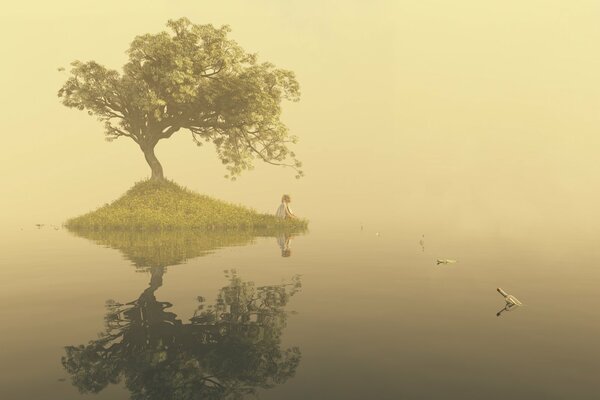 Aube sur le lac, petite île avec un arbre