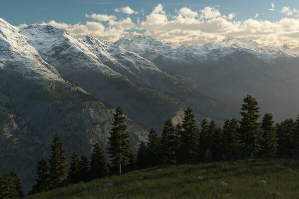 Paisaje de árboles altos contra el fondo de los picos nevados del bosque