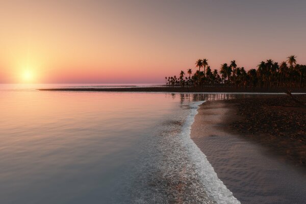 Tropical en fut , autour de de palma, chic coucher de soleil et l océan