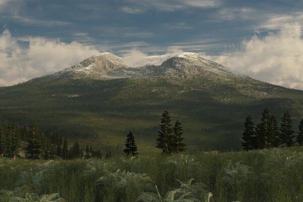 Die Taiga , die Gipfel der schneebedeckten Berge, und am Fuße befinden sich grünes Gras und Fichten