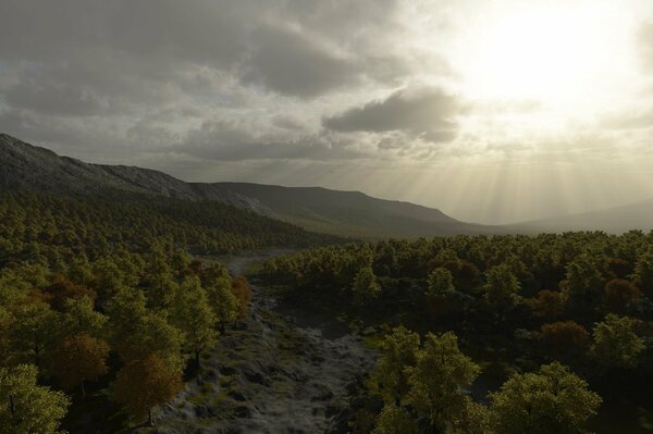 Bellissimo paesaggio con sole, colline e foresta