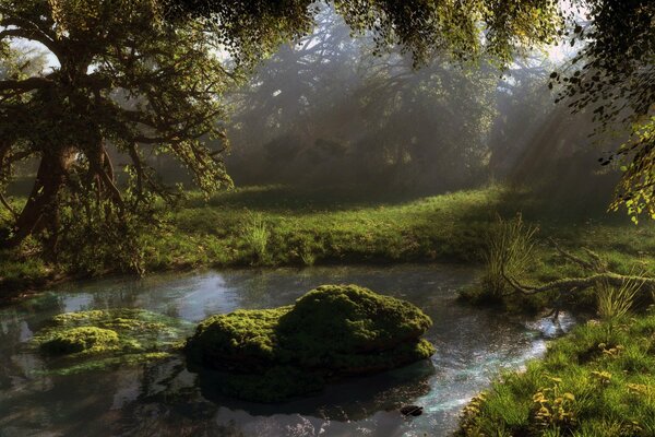 Art pond in the forest with rocks and moss