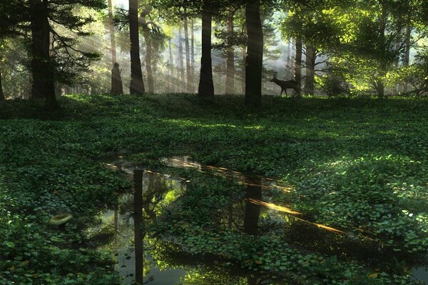 Une rencontre inattendue, du chevreuil et de l homme dans la forêt