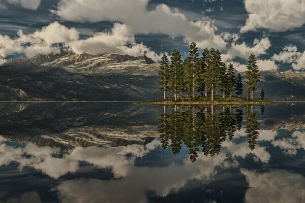 A lake and a bunch of Christmas trees